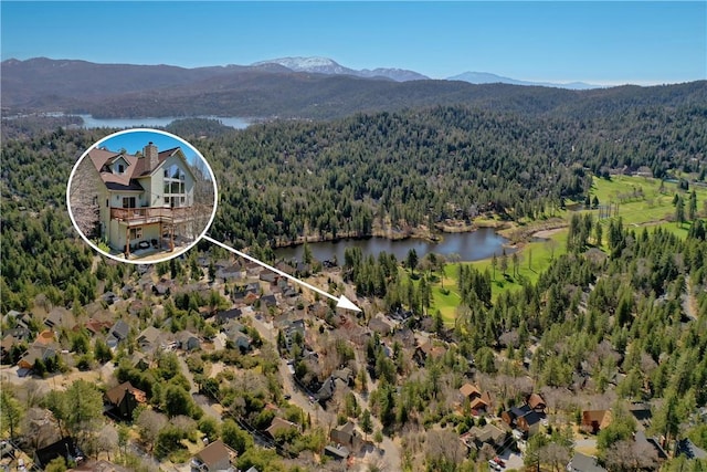 756 Brentwood Dr, Lake Arrowhead, CA 92352 - bird's eye view of a heavily wooded area and a water and mountain view