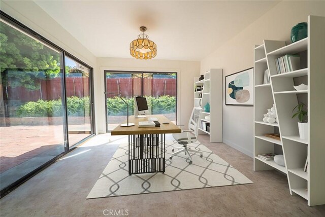 interior space featuring carpet floors