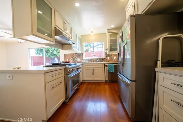 kitchen featuring dark wood finished floors, light countertops, backsplash, and stainless steel appliances