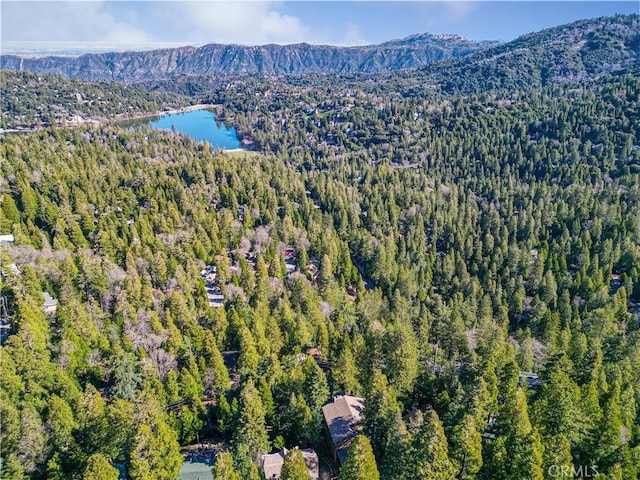 24685 Altdorf Dr, Crestline, CA 92325 - photo 44