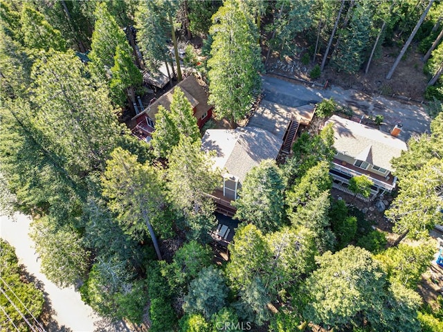 24685 Altdorf Dr, Crestline, CA 92325 - photo 42