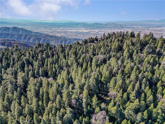 24685 Altdorf Dr, Crestline, CA 92325 - photo 45