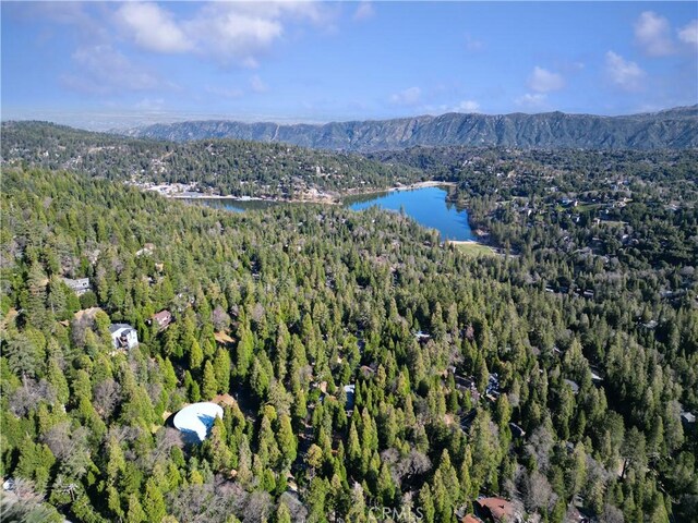 24685 Altdorf Dr, Crestline, CA 92325 - photo 43