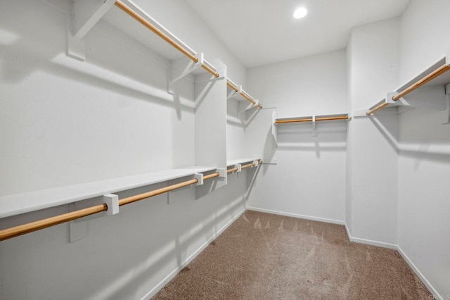 spacious closet with carpet flooring