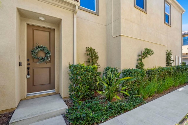 view of exterior entry featuring stucco siding