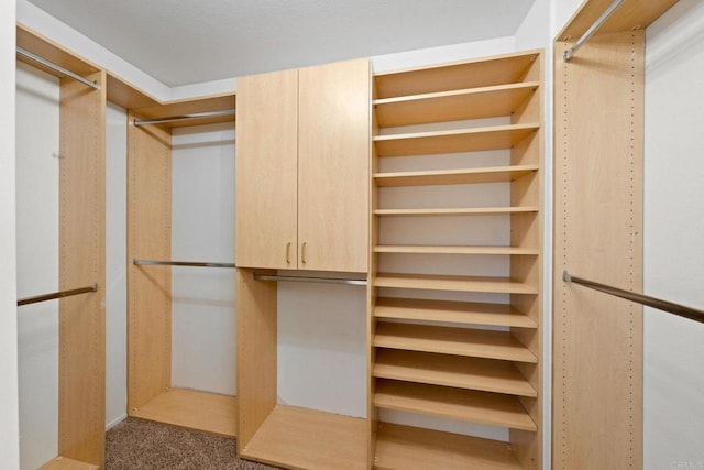1396 Carneros Valley St, Chula Vista, CA 91913 - walk in closet with carpet flooring