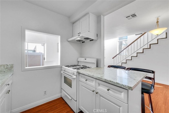 kitchen with under cabinet range hood, visible vents, dark wood-style flooring, and white gas range