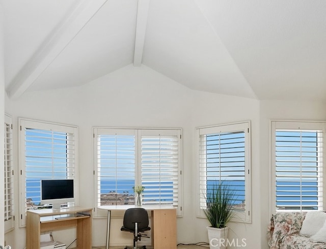 10 Cavalier, Laguna Niguel, CA 92677 - office area featuring plenty of natural light