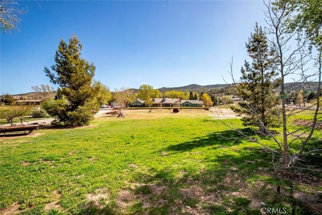 view of yard with a mountain view