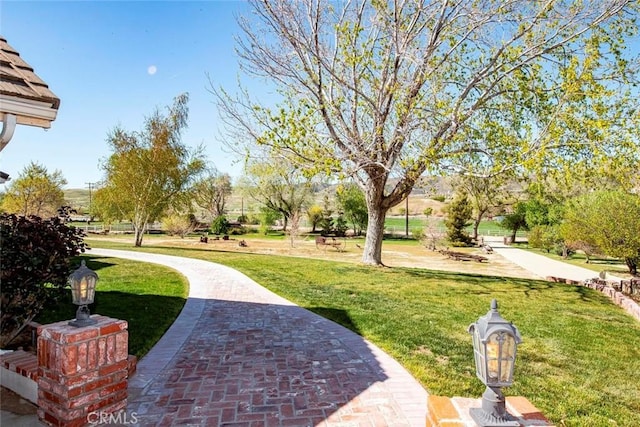surrounding community featuring a yard