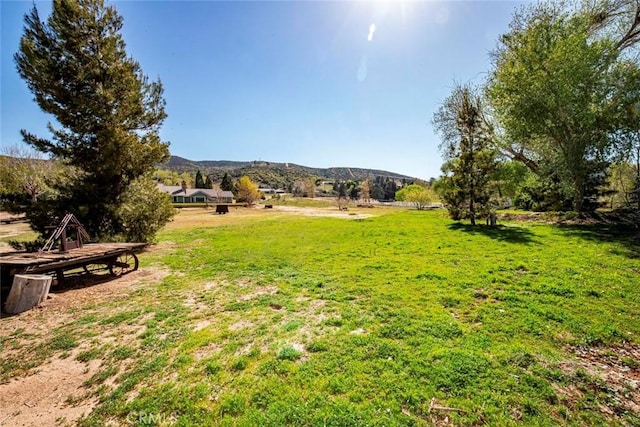 view of yard featuring a mountain view