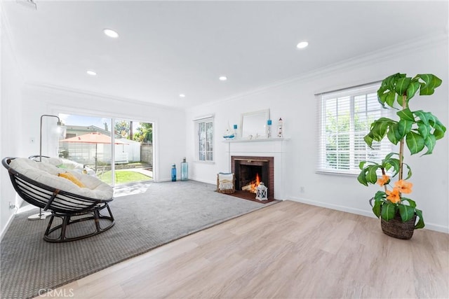 living area with baseboards, wood finished floors, a fireplace, and ornamental molding