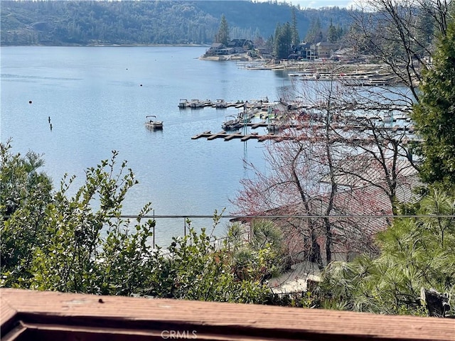 39121 Lake Dr, Bass Lake, CA 93604 - water view