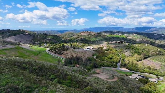 11 Sandia Creek Rd, Temecula, CA 92590 - photo 6