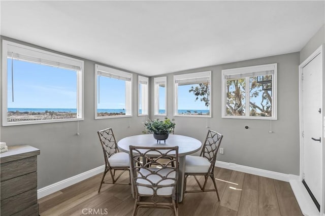 dining area with wood finished floors, baseboards, and a wealth of natural light