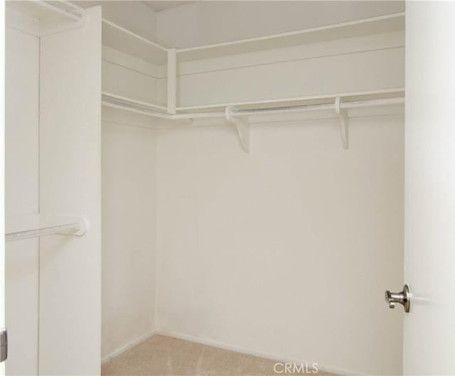 walk in closet featuring carpet