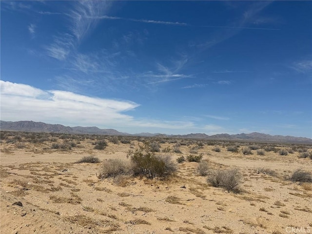 13876 Harrod Rd, Lucerne Valley, CA 92356 - photo 4