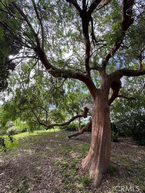 1768 Wright St, Pomona, CA 91766 - view of local wilderness