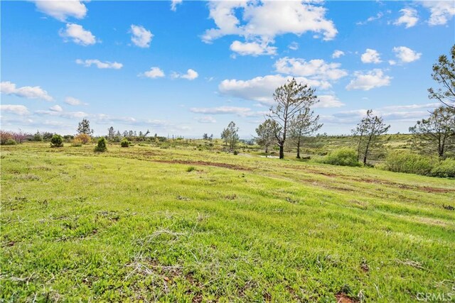 4822 Zinfandel Dr, Chico, CA 95928 - photo 38
