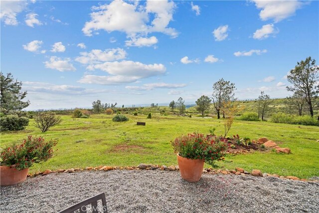 4822 Zinfandel Dr, Chico, CA 95928 - photo 37
