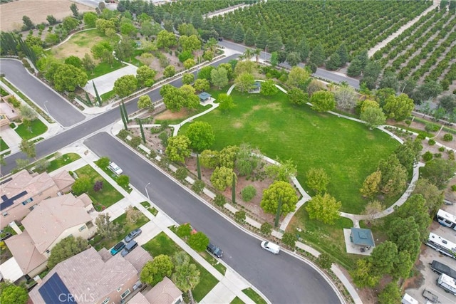 bird's eye view