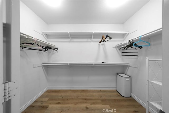 walk in closet featuring wood finished floors