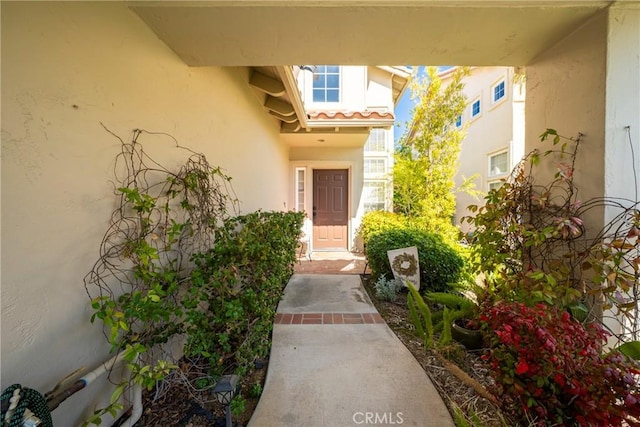 doorway to property featuring stucco siding