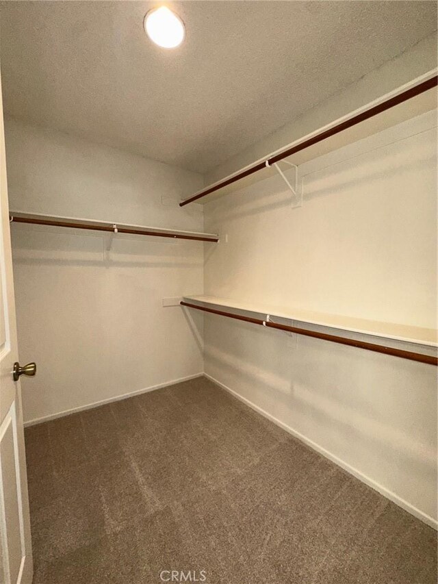19229 Pine Way, Apple Valley, CA 92308 - spacious closet with dark colored carpet