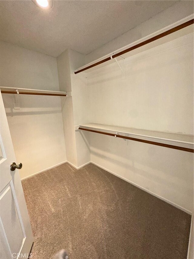 19229 Pine Way, Apple Valley, CA 92308 - walk in closet with carpet