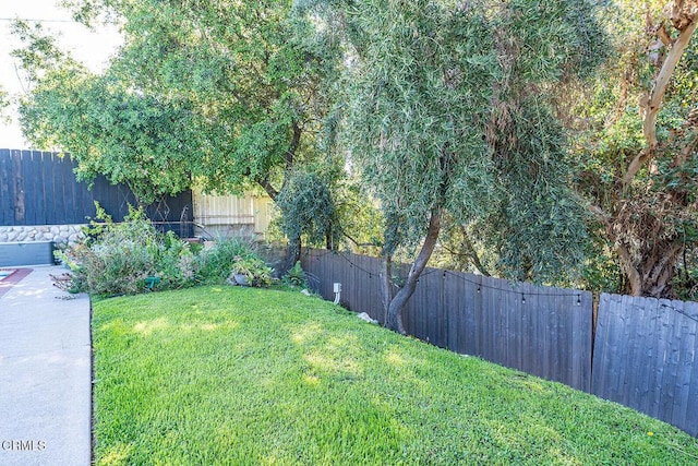 view of yard with a fenced backyard