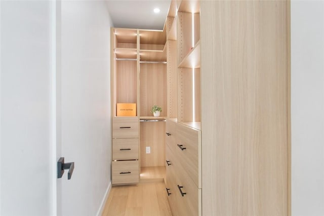 spacious closet featuring light wood-style floors