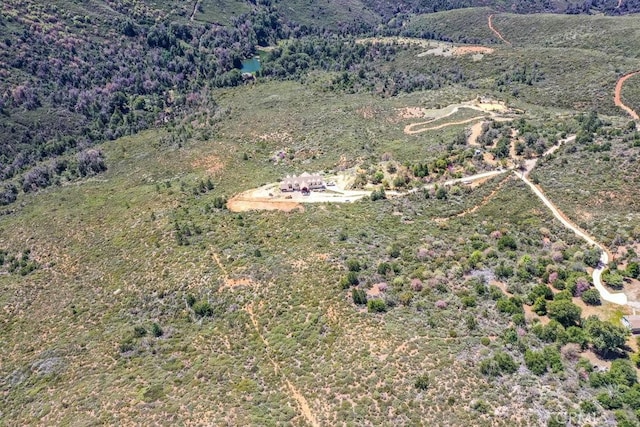 drone / aerial view featuring a view of trees