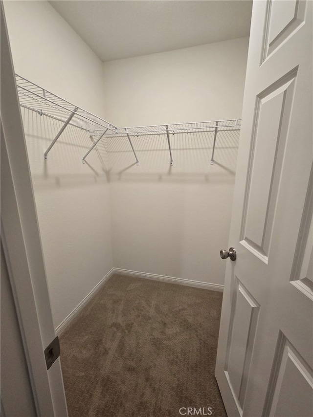 19427 Seeding Palace Cir, Riverside, CA 92507 - spacious closet with dark carpet
