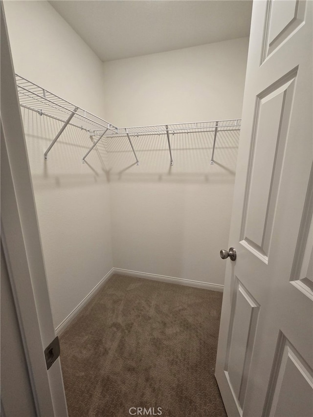 19427 Seeding Palace Cir, Riverside, CA 92507 - walk in closet featuring dark carpet