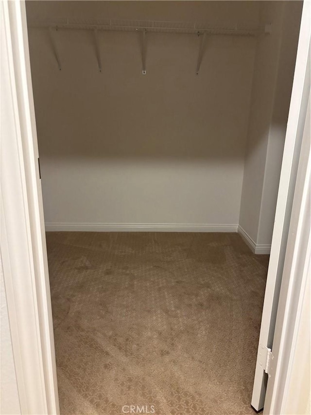 19427 Seeding Palace Cir, Riverside, CA 92507 - spacious closet featuring carpet floors