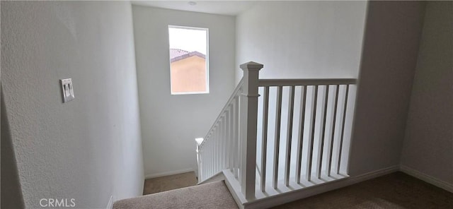 19427 Seeding Palace Cir, Riverside, CA 92507 - stairway featuring carpet flooring