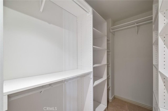 view of walk in closet