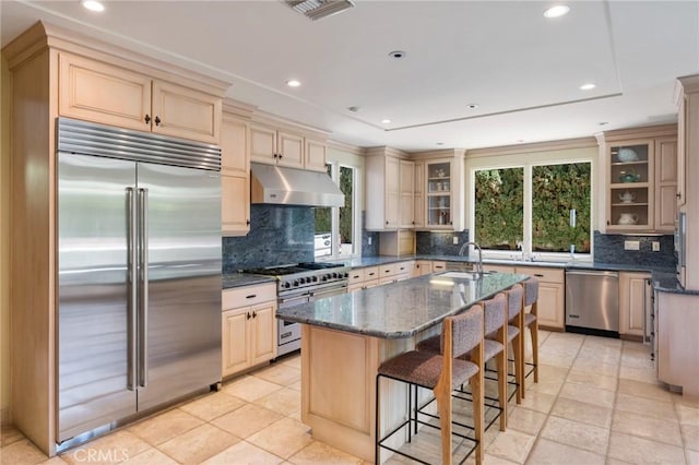 kitchen featuring premium appliances, a sink, an island with sink, under cabinet range hood, and decorative backsplash