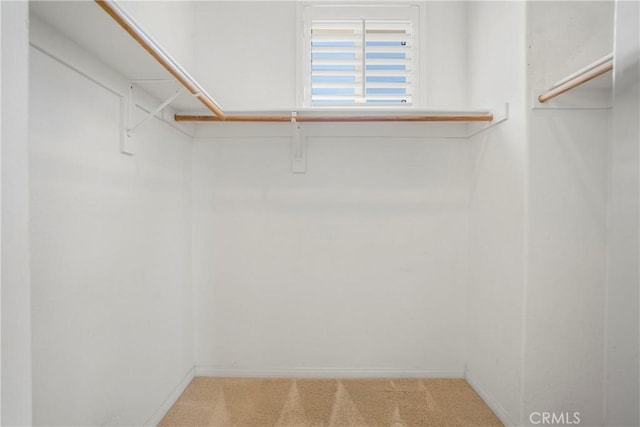 28514 High Ridge Dr, Saugus, CA 91390 - walk in closet with carpet flooring
