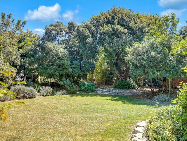 view of yard
