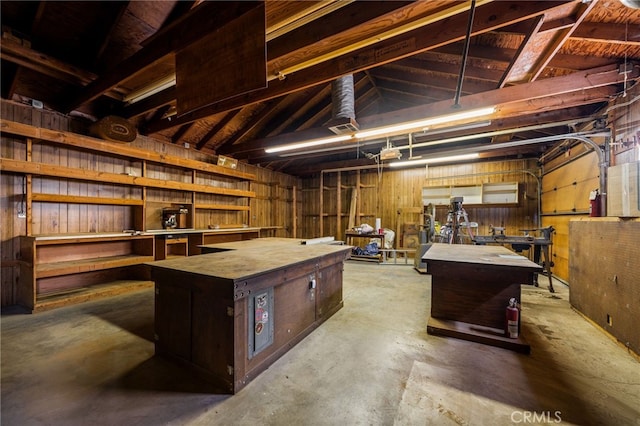 basement featuring a workshop area