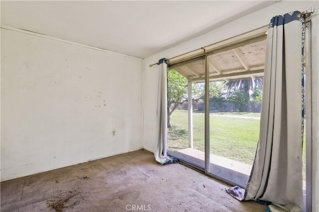 empty room featuring carpet