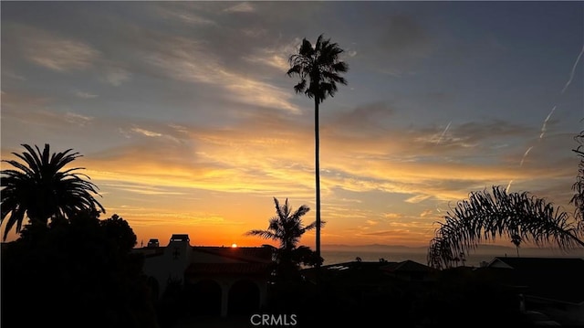 424 Camino De Encanto, Redondo Beach, CA 90277 - view of nature at dusk