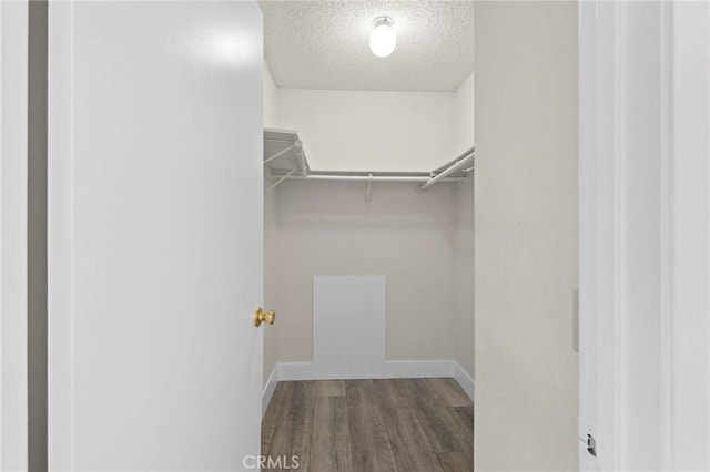 walk in closet featuring wood finished floors