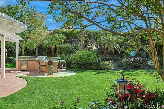 17816 Tuscan Dr, Granada Hills, CA 91344 - view of grassy yard with area for grilling and a patio area
