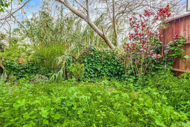 view of nature