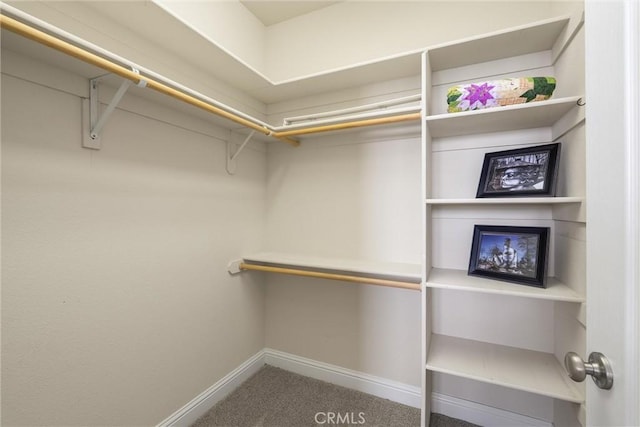 2327 Via Calle Ct, Durham, CA 95938 - spacious closet featuring carpet floors