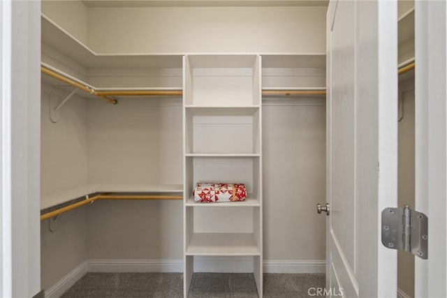 2327 Via Calle Ct, Durham, CA 95938 - walk in closet featuring carpet floors