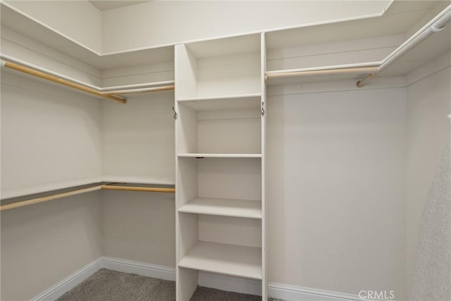 2327 Via Calle Ct, Durham, CA 95938 - walk in closet featuring carpet floors