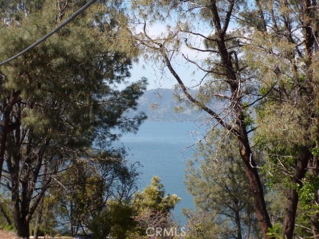 3054 Riviera Heights Dr, Kelseyville, CA 95451